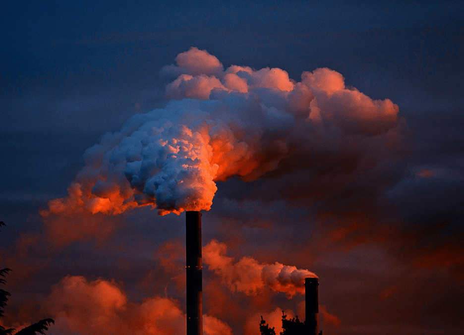 Are Expert Witnesses The Backbone Of Toxic&nbsp;Torts?